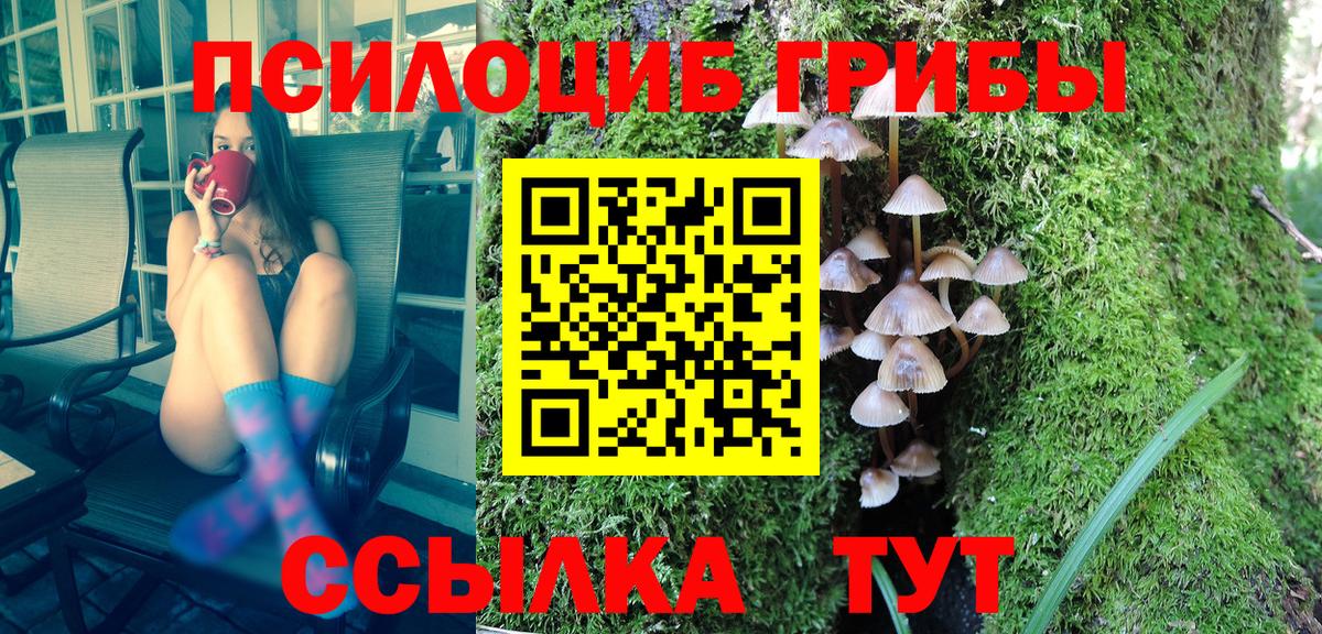 Галлюциногенные грибы MAGIC MUSHROOMS Верхняя Пышма